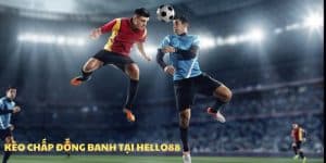 Kèo Chấp Đồng Banh Hello88 - Cách Chơi Và Đọc Kèo Chuẩn
